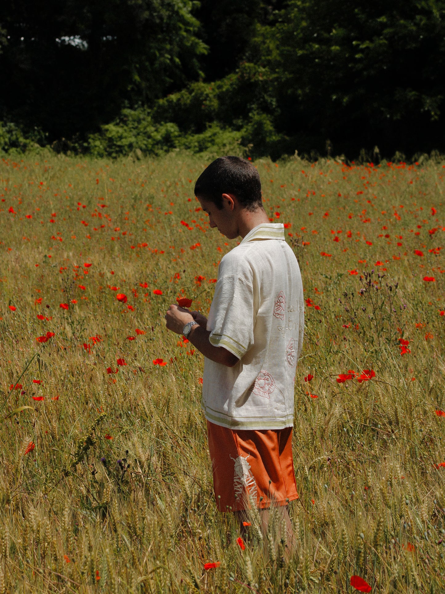 Le short cigale